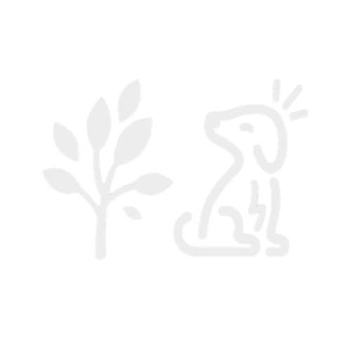 Marca Wagner Jorcuvich